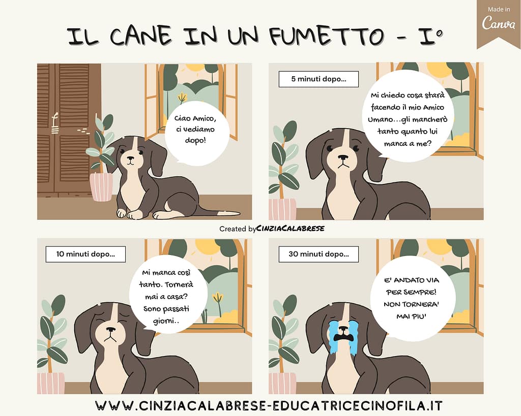 Un cane da solo