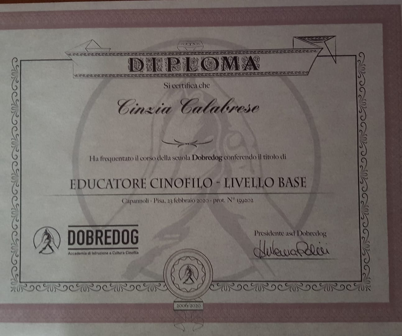 diploma educatore base Dipoloma