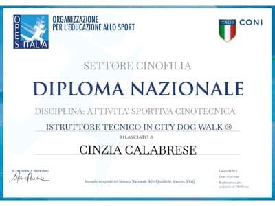 03_052020_Istruttore_tecnico _in_city_dog_walk Diploma