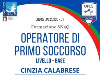05_08202_Operatore_di_Primo_soccorso_al_cane