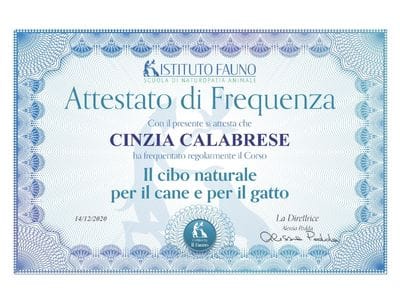 06_122020_Attestato_cibo_naturale_per_il_gatto Attestato