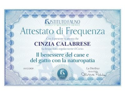 07_122020_Benessere_del_cane_e_del_gatto_con_la_naturopatia