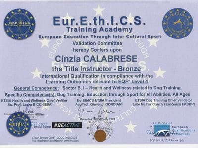 09_032021_EQF_Instructor_Bronze Certificato europeo