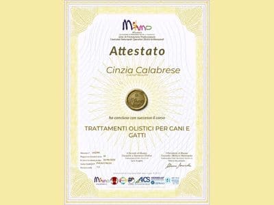 11_042023_Trattamenti_olistci_per_cani_e_gatti