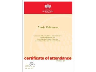 13_122023_Corso_Dowsing&Australina Bush Flower