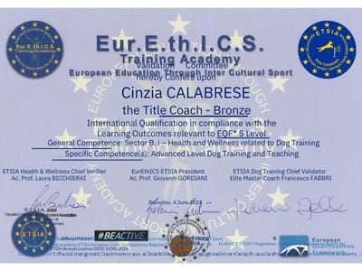 14_062024_Coach_Bronze