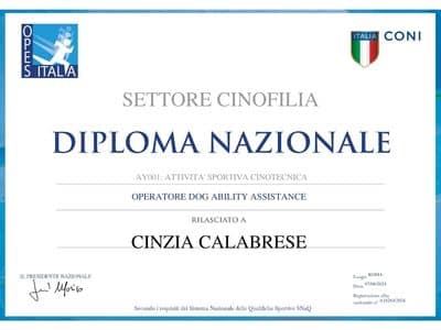 15_062024_Operatore_Dog_Ability_Assistance