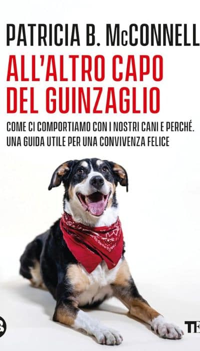 Educare il cane-Cinzia Calabrese Cinofilia e Floriterapia- capire il linguaggio del cane