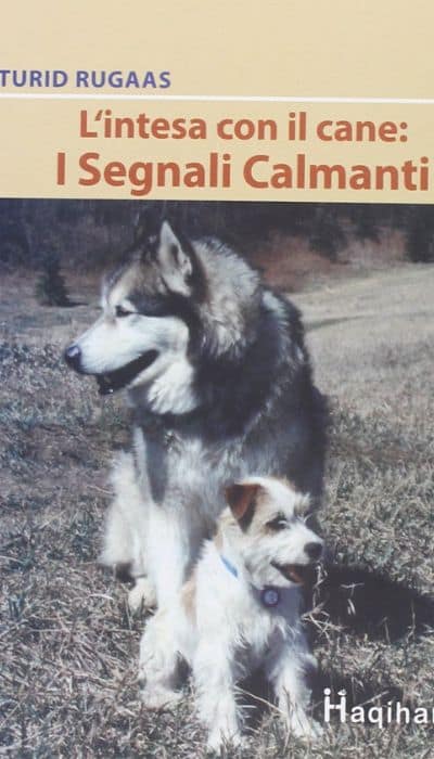 Educare il cane-Cinzia Calabrese Cinofilia e Floriterapia-i segnali calmanti