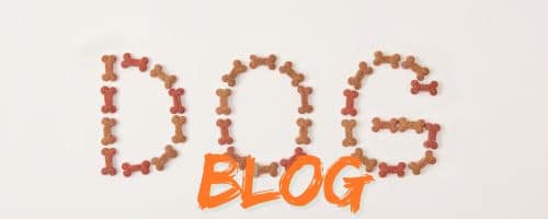 scritta blog