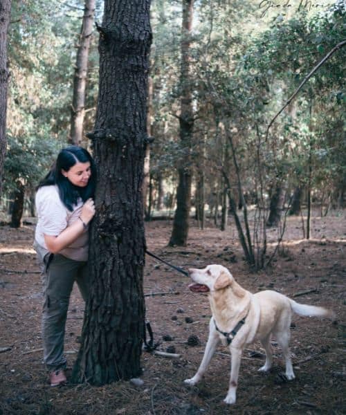cane e proprietaria in pineta