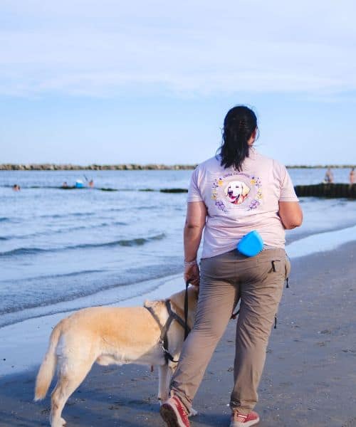 ragazza con labrador al mare