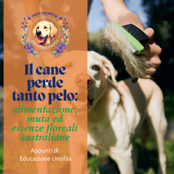 cane che perde il pelo