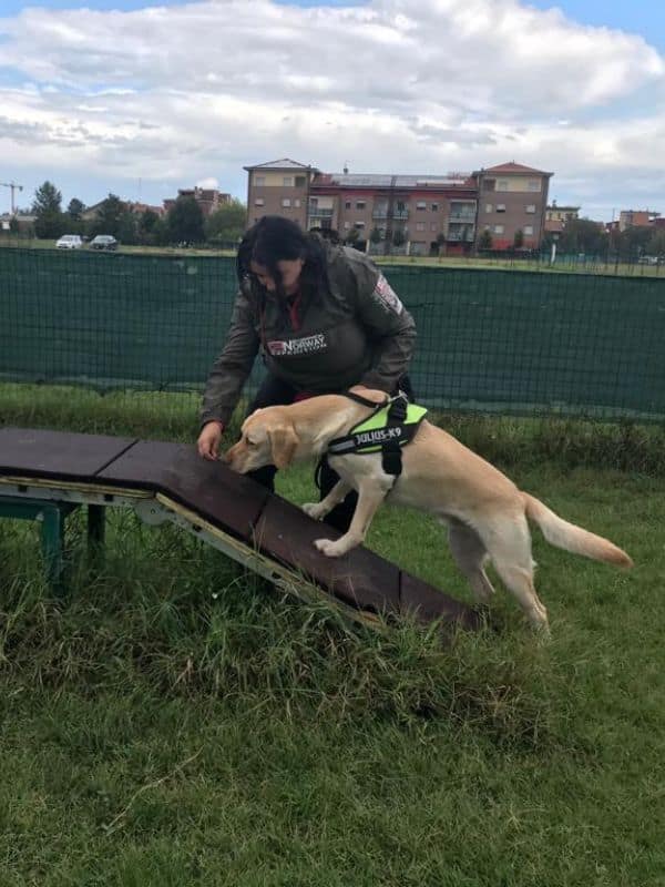 Educazione cinofila specializzata in cure naturali